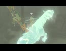 【ブレワイ】気になったので、ウマ立ち状態でメドー戦を開始してみた【ドリカラ】【ブレスオブザワイルド,ボイスピ実況,ゼルダの伝説,BotW,バグ,検証 】