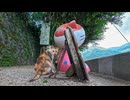 【台湾猫村】駅前の巨大猫オブジェ、隣に本物の猫がいることもあるｗ