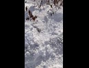 夏だからこそ冬の景色がみたい