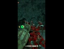 【ティアキン】メウツツの根付近のライネル　ゼルダの伝説ティアーズオブ ザキングダムNintendo Switch 2 Edition
