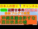 【第57報！】辺野古事件で沖縄県議会に遺族が公開要望を出す「議会はまともに調査しろ」芥川賞作家の的外れ意見も