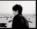 NIN/We're in this Together 高画質