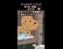 サイコなさいこちゃん【第５話（前編）犬のコロ】