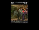 【FF10】インターナショナル版のワッカが失礼すぎる件について