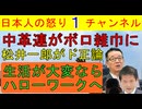 【中核連の小川代表がボロボロ】松井一郎「ハローワークに行けばいい」でネット民の強い支持を得る/浅はかな野党が大崩壊