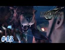 首を噛みちぎっても許される非道な研究の数々【FF7R】#43