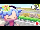 【実況】ぽこ あ ポケモンを初見で遊ぶいも【#45】