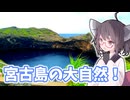 【きり旅草子#6】宮古島旅行前編！(伊良部・下地編)