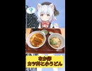 【VOICEVOX】なか卯のカツ丼と小うどん【小夜／SAYO】