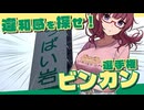 【シンプル車載動画投稿祭】3分で違和感を探せ！ビンカン選手権ドライブ～天草市～