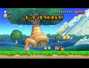 【NewスーパーマリオブラザーズU デラックス】A12・ドングリへいげんのトッテン