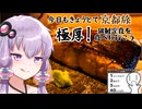 【今日もきょうとて京都旅】極厚！銀鮭定食を食べに行こう【シンプル車載投稿祭】