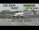 飛行機苦手なうp主が15年ぶりに飛行機に乗って宮崎に行ったら【思い立って31】