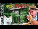 【実写Vlog】予算1万円で三重県いなべ市を堪能してみた【神社・猫・飯テロ】