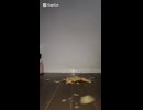タクヤさんに例のキ◯ガイ