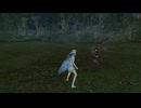 ファイアーエムブレム無双　アクア　１１