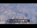 ウィルス起源説 VS エクソソーム薬害説　まだウィルスに惑わされている人へ 前編