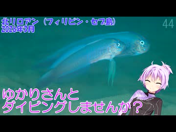 【北リロアン(フィリピン)】ゆかりさんとダイビングしませんか？
