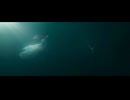 棋魂 ヒカルの碁 03