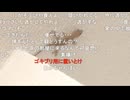 #七原くん 20201004「テスト」米有HD版(ヤモリ生存確認枠,テスト枠だが枠最後に浩平「動画はOK」※)
