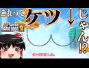 ゆっくり霊夢が征く！3DSのNewスーパーマリオブラザーズ2 Part１４【ゆっくり実況】