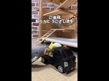 【朗報】軽トラ、インコに占拠される。お食事処スズキ開店！