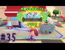 【実況】運命を刻む復興活動 part35【ぽこ あ ポケモン】