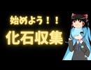 【化石収集】最強の趣味！？化石収集をおススメする理由4選【コレクション】