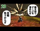 ＃33 狩技フィニッシュしないと進めないダブルクロス！【MHXX/NS】