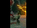 【ティアキン】セヨシエの根付近のライネル　ゼルダの伝説ティアーズオブ ザキングダムNintendo Switch 2 Edition