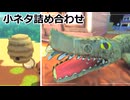ゆったりDinkum 2-05 ちょっとしたできごと詰め合わせ (ソフトウェアトーク実況)