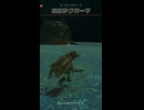 【ティアキン】サキルクマの根付近の黒曜デグガーマ　ゼルダの伝説ティアーズ オブ ザ キングダムNintendo Switch 2 Edition