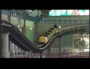 【家族旅行】ADVENTURE WORLD：リトルアドベンチャー ～ミツバチくんの大冒険～に乗るあい♥乗る前は乗り気ではなかったのに実際に乗ると楽しい♬