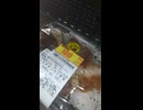 #YMDD_946 EXT　ローソン：ソースチキンカツ弁当