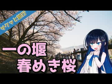 サクッと旅行　一ノ堰ハラネ 春めき桜！【VOICEROID旅行】