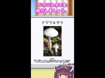東北きりたんと手短に学ぶ毒キノコ解説：ドクツルタケ