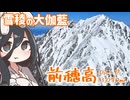 雪の前穂高で景色を見るRTA【リアル登山アタック】