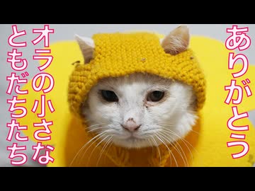 宝石珍獣、忘れ難き小さな親友たち