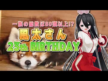 【ソフトウェアトーク劇場】一族の総数は80頭以上!?風太さん23th_BIRTHDAY【中国うさぎ】