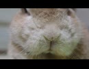 お久しぶりのY