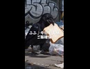 野生動物の意識の高さたるや…  #aianimation #anime