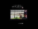 "ハグしに来た♪" 赤髪可愛い京都の美女とフリーハグするピエロの目線映像♪