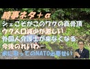 シェこそがこのワクの真骨頂ｂｙTrilliana華！日本から介護人材がいなくなる（円安・外国人批判情報）ｂｙ和田秀樹！山本太郎の代表辞任と　今後のれいわｂｙ失敗小僧！皇室典範！【アラ還・読書中毒】