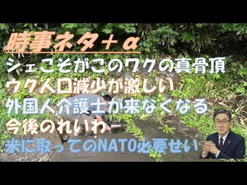 シェこそがこのワクの真骨頂ｂｙTrilliana華！日本から介護人材がいなくなる（円安・外国人批判情報）ｂｙ和田秀樹！山本太郎の代表辞任と　今後のれいわｂｙ失敗小僧！皇室典範！【アラ還・読書中毒】