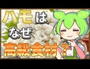 ずんだもんのたべもののヒミツ　‐ハモのヒミツ‐