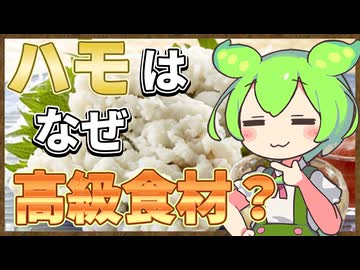 ずんだもんのたべもののヒミツ　‐ハモのヒミツ‐