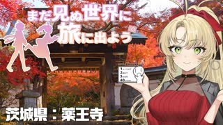 シンプル車載動画投稿祭2026】まだ見ぬ世界に旅に出よう！ Record EX