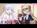 怪訝な顕現の加減具合【ソフトウェアトーク劇場】