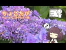 ちょっとそこまでひとり旅　＃2 あじさいを見たい