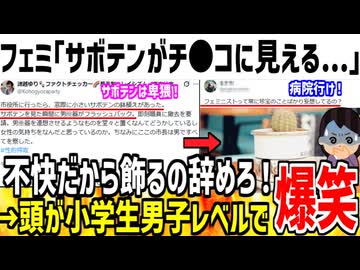 フェミ「サボテンがチ●ポに見える！飾るの辞めろ！」→頭ピンク過ぎてドン引きされてしまう...